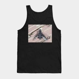 Anthrax sp. fly close-up Tank Top